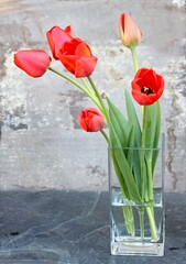 Red tulips in a glass vase on the stone desk. Bouquet of spring flowers against blurred background with copy space..