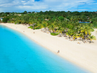 Aerial view of empty sandy beach with palm trees, blue ocean - 784413236