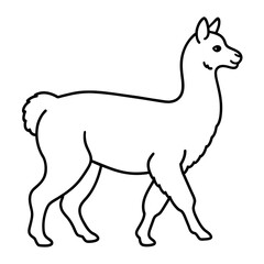 alpaca vector illustration,  line art kid's coloring page deign