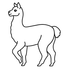 alpaca vector illustration,  line art kid's coloring page deign