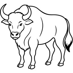 buffalo or Ox coloring page line art animal vector illustration 
