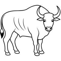 buffalo or Ox coloring page line art animal cartoon, vector illustration