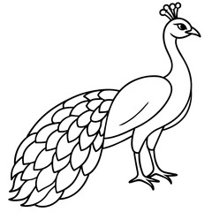 peacock cartoon line art. drawing coloring book pages for children and adults