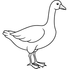 duck isolated on white vector coloring page. hand drawing coloring book pages for children and adults