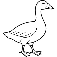 duck isolated on white vector coloring page. hand drawing coloring book pages for children and adults