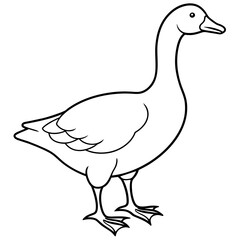 duck isolated on white vector coloring page. hand drawing coloring book pages for children and adults