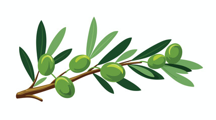 Obraz na płótnie Canvas Green olive illustration. Green leaf branch nature.