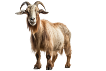 Majestic Horned Guardian. On White or PNG Transparent Background.