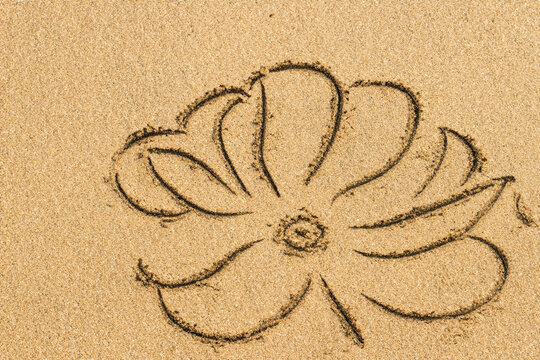 drawing in the sand. drawing of a large flower on yellow sand, top view, drawing concept