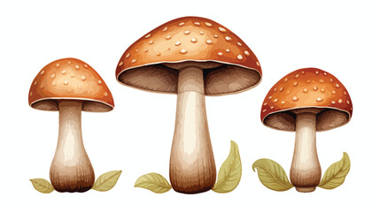 Hand painted watercolor illustration of champignon