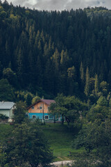 Cosy evening in Carpathians. Summer landscape in mountains. Ukraine, Europe.