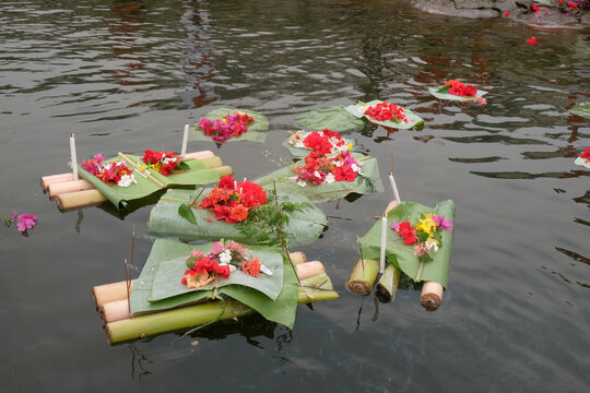 The tribals of Bangladesh worship the Buddha with collected flowers and the flowers are floated in the water for the sake of Goddess Ganga Kaptai, Rangamati, Bangladesh