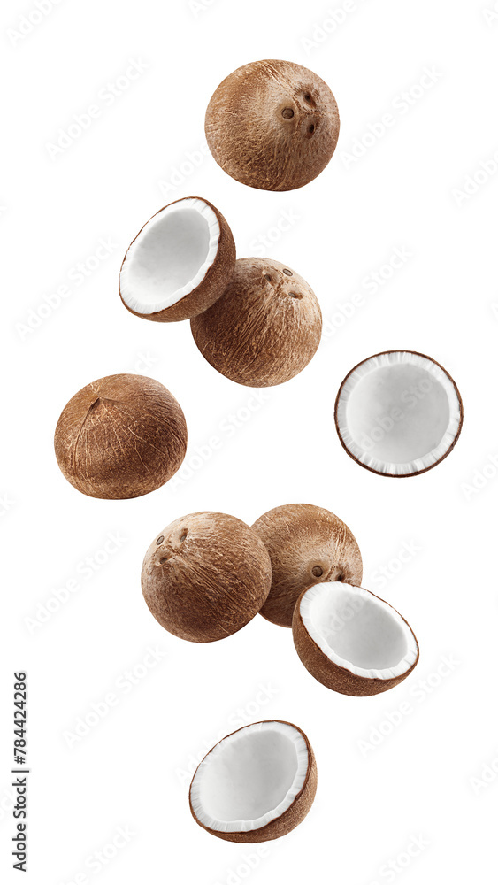Sticker falling coconuts isolated on white background, full depth of field - Stickers