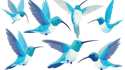 Hummingbird 2d flat cartoon vactor illustration isolated