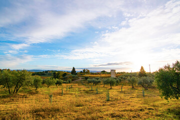 toscane