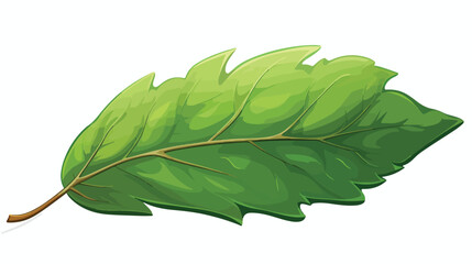 Leaf .. 2d flat cartoon vactor illustration isolated