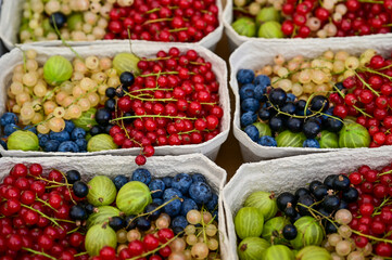 Gemischte Früchte, Beeren, Schale mit Johannisbeere, Heidelbeere, Blaubeere, Stachelbeere, Superfruits aus dem Garten