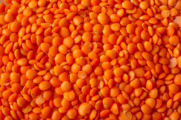 macro photography: dry lentil beans