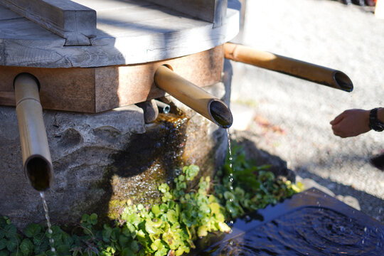 冷たい水の手水舎 / Cold water hand-watering basin
