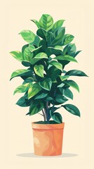 A potted plant with green leaves