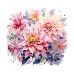 Pink Dahlia Flowers Watercolor Illustration