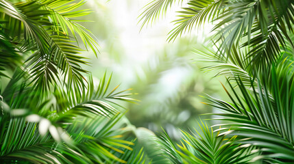 Dense Tropical Jungle with Bright Sunlight Filtering Through Palm Leaves, Exotic Rainforest Scene