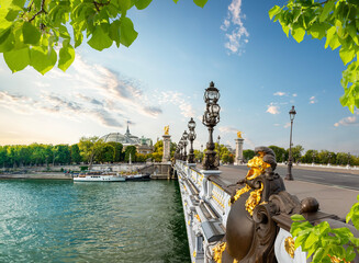Bridge Alexandre in Paris - obrazy, fototapety, plakaty