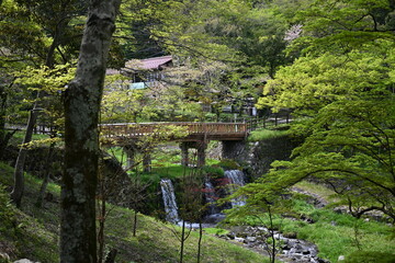 養老公園