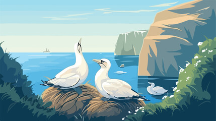 Northern gannet nesting colony 2d flat cartoon vact - obrazy, fototapety, plakaty