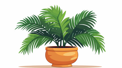 Palm in the pot illustration vector on a white background