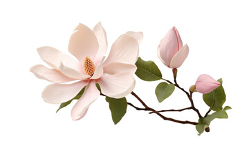 Graceful Pink Blossoms Dancing on a Blank Canvas. On White or PNG Transparent Background.