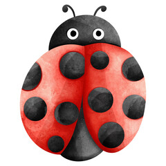 A cartoon ladybug with big eyes
