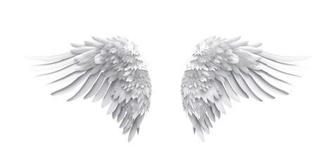 Obraz premium White Wings with Transparent Background