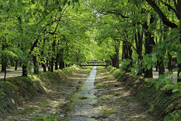 Stream running through a park, Vrnjacka banja - Serbia
