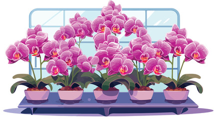 Phalaenopsis Farm 2d flat cartoon vactor illustration