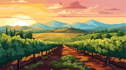 Fotobehang Picturesque vineyard with rows of grapevines under © Hyper