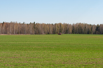 Tractor works in green field near the birch forest, spring time