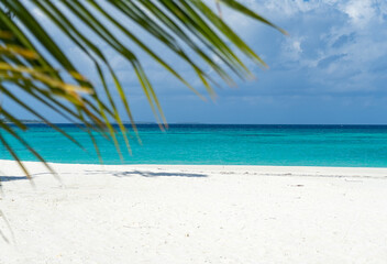 Fototapeta na wymiar Palm tree leaf in the Maldives, White sandy beach and blue Indian Ocean water.