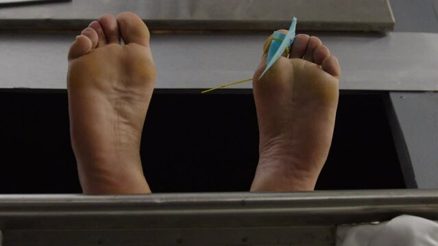 Zoom in to feet in morgue cooler corpse in hospital