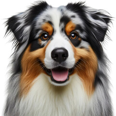 Isolated  Cute Funny Animal on a Clear PNG Canvas, Generative AI