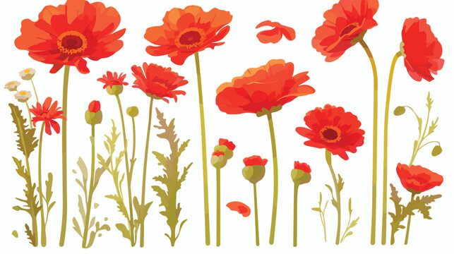 Red Gerbera Daisy Flowers Clipart 2d flat cartoon v