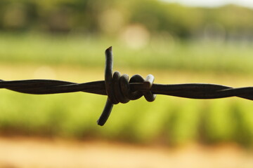 Obraz premium barbed wire fence