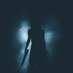 The shadow of a female murderer stood terrifyingly holding a knife and lit from behind.Scary horror or thriller movie mood or nightmare at night Murder or homicide .  - obrazy, fototapety, plakaty