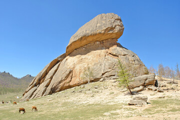 “Turtle Rock ”  -  rock formation in The Gorkhi Terelj National Park, Mongolia
