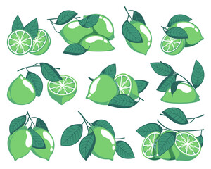 Green limes. Cartoon citrus fruits with leaves, sour organic citric fruit slices whole and half pieces with zest. Vector isolated set. Product for drinks, refreshments and cocktails