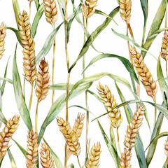 watercolor seamless pattern with ears of wheat. vintage print with harvest, farming