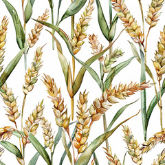 watercolor seamless pattern with ears of wheat. vintage print with harvest, farming