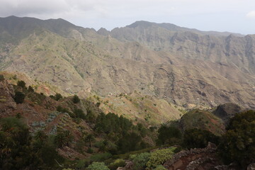 Fototapeta na wymiar Hiking in the Parque National de Garajonay on the canary island Gomera