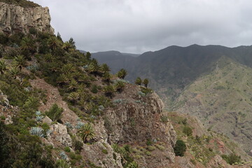 Fototapeta na wymiar Hiking in the Parque National de Garajonay on the canary island Gomera