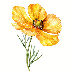 Watercolor yellow flower